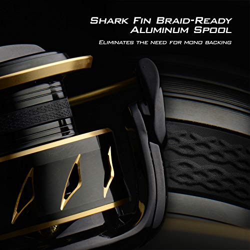 Amazon.com : KastKing Sharky III Gold Fishing Reel, Zero-Flex Aluminum Body Spinning Reel, 39.5 Lbs Carbon Drag, 10+1 Double Shielded Ball Bearings, 5.2:1 Gear Ratio, Inshore or Freshwater. : Sports & Outdoors